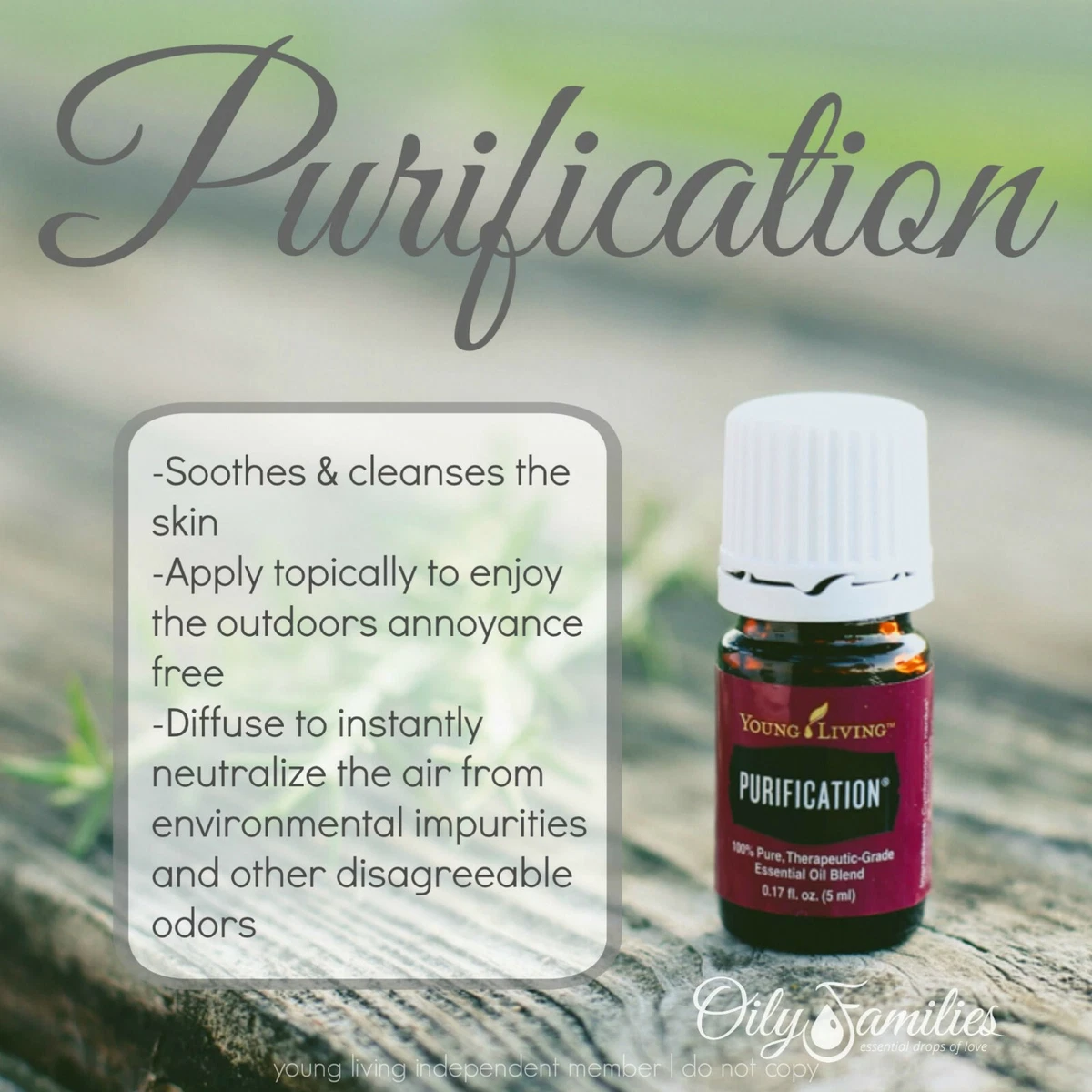 Purification 5ml Young Living Essential Oils Helps Purify Clean Air Fresh Blend