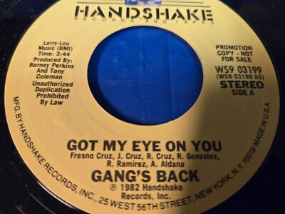 Gang's Back - Got My Eye On You (Handshake Records And Tapes) -  7'' VINYL MINT