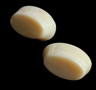Vintage Signed Napier Ivory Acrylic  Oval Hinged Stud Earrings 1  L Unique Retro