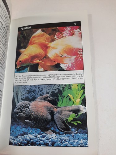 Goldfischpflegebücher Goldfische in Farbe & Ihr erster Goldfisch - Bild 10 von 10