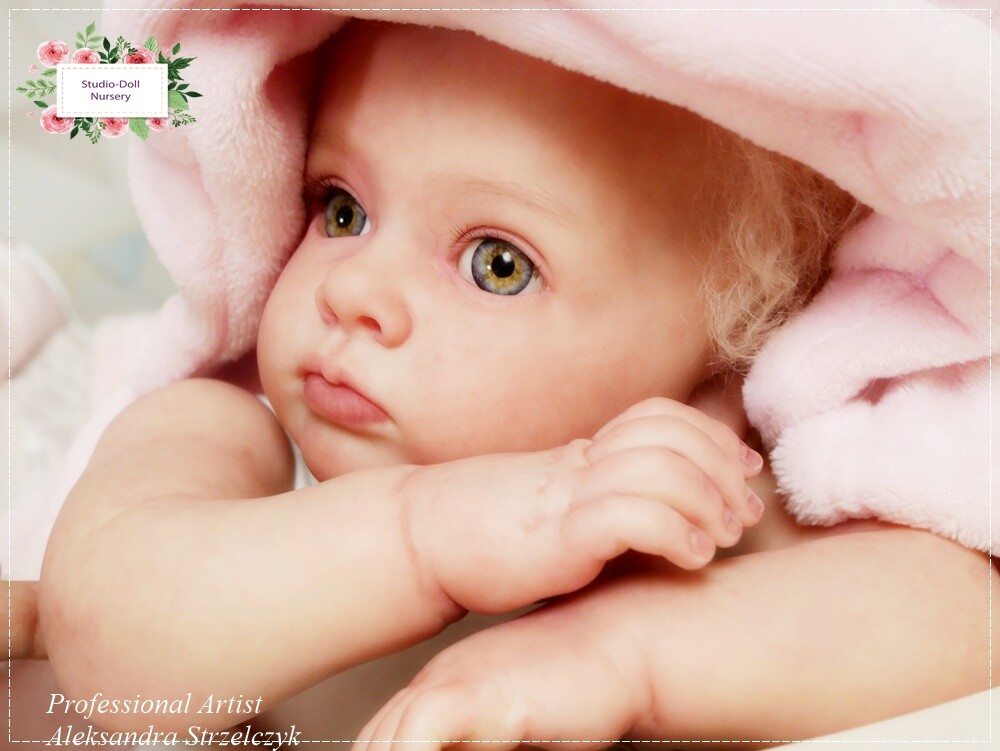 ¥·¥ê¥³¥ó¥Ù¥Ó¡¼¡¢¥ê¥Ü¡¼¥ó¥É¡¼¥ë¡¢¥ª¡¼¥À¡¼¥á¥¤¥É¡¢ÀÖ¤Á¤ã¤ó¿Í·ÁÈÎÇä¡¢T