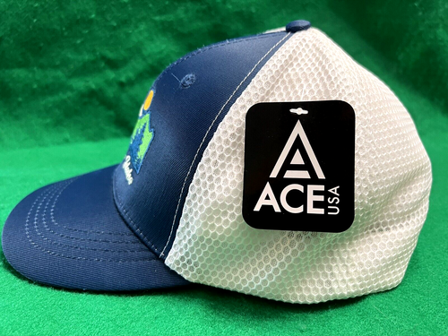 NEW McCall, Idaho Overlapping Mountains Honeycomb Mesh Snapback Ace Trucker Hat - Picture 5 of 13