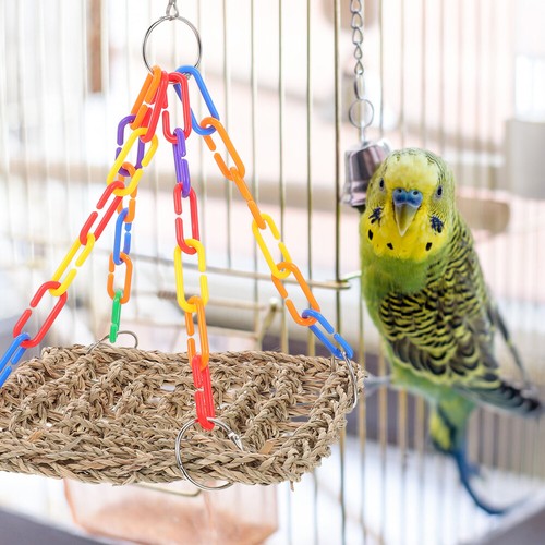 Parrot Bite Resistant Bird Hanging Chewing Parakeet Climbing Swing - Picture 4 of 12