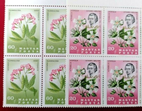 HUNGRIA 1967 - FLORES / PAL KITAIBEL . - Imagen 4 de 4