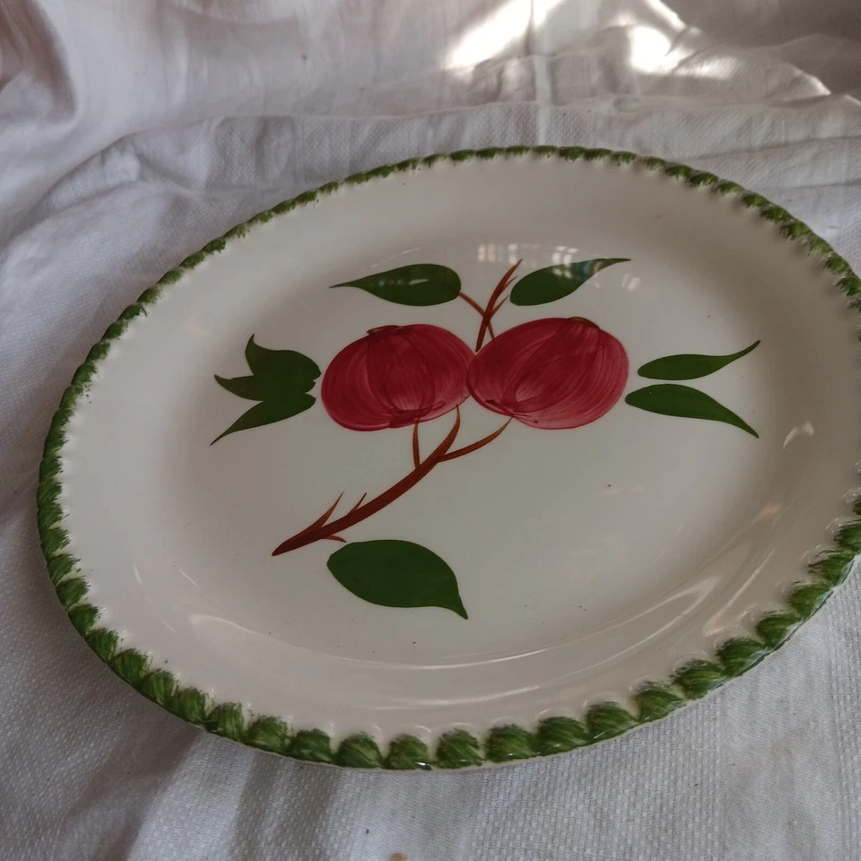 Quaker Apple by Blue Ridge Southern Potteries Dinner Plate 9.5" Hand painted EUC - Image 2 of 4