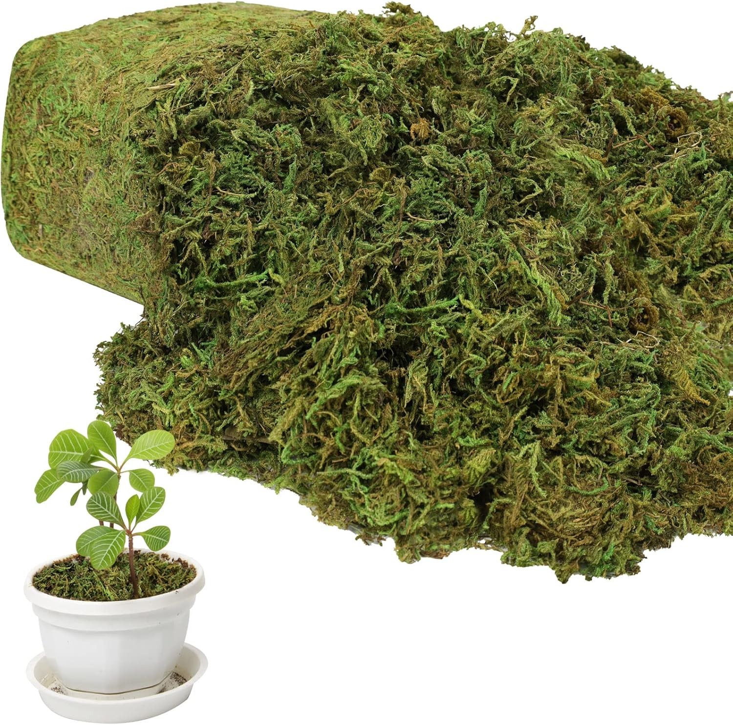 35OZ Large Artificial Moss for Potted Plants - Natural Fresh Green Decorative Moss