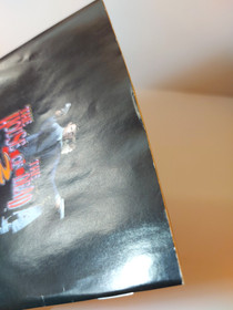 The House of The Dead 2 with manual Sega Dreamcast DC Japan ver.