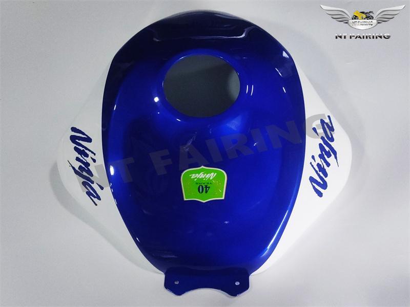 FD Injection Green Blue Plastic Fairings Fit for Kawasaki