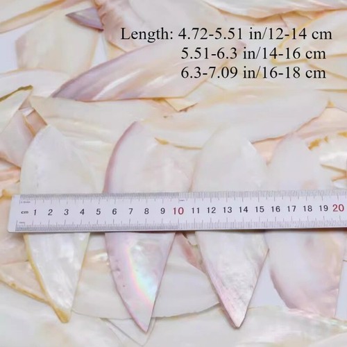 1PC White Natural Mother of Pearl Shell Slice for DIY Wood Inlay Carved Material - Picture 7 of 9