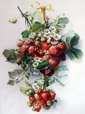 Still life with strawberries Tile Mural Kitchen Bathroom Backsplash Ceramic 6x8