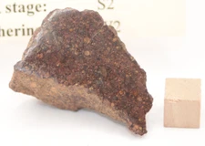 NWA 11669 meteorite. LL3 21.52 grams. Very nice polished end cut.