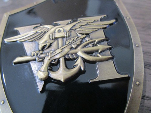 SEAL Team Six Gold Squadron NSWDG Navy SEAL Team VI DEVGRU Challenge Coin - Imagen 11 de 12