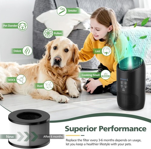 BS-03 True HEPA Replacement Filter for PARTU and Slevoo Air... - 第 6/8 張圖片