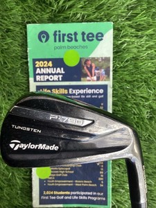 P790 4 Iron | eBay