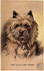 Handsome Dog Light Coated Cairn TerrIer signed Mac Vintage 1936 Postcard