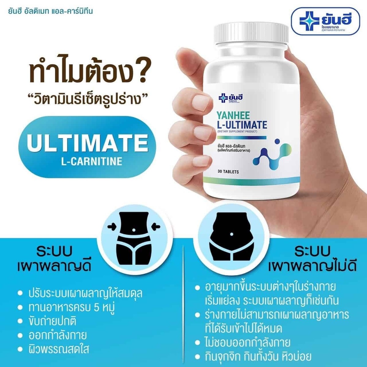 l carnitine cream benefits L-Carnitine and Creatine are both game-changers for fitness, but they each  shine in different ways! SAVE this as your quick guide!  L-Carnitine,  found in red meat, fish, and chicken, supports fat