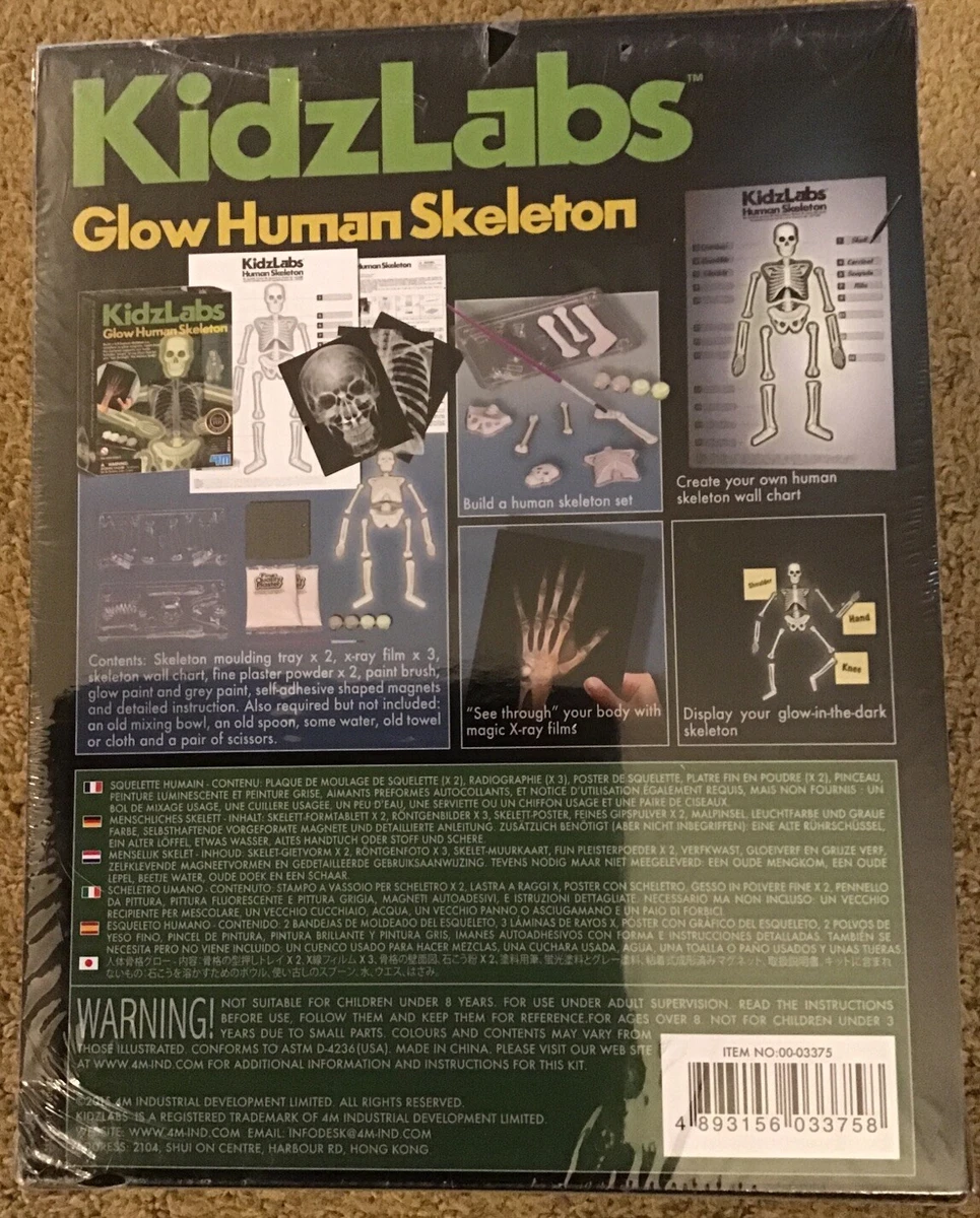 Kidz labs glow human skeleton 2025
