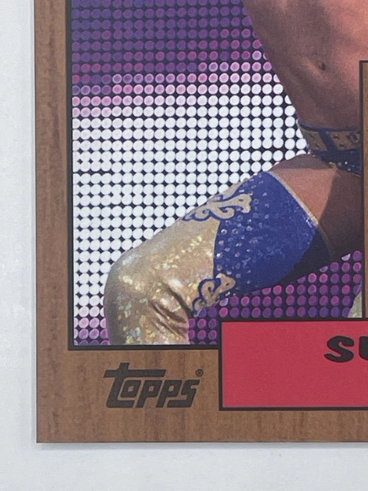 Summer Rae 2017 Topps Heritage WWE Superstar Worn Shirt Relic Bronze /99 #R-SU - Image 3 of 4