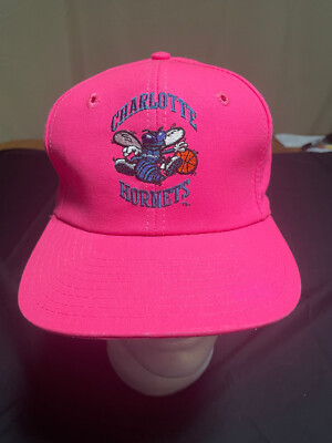 Charlotte Hornets twins enterprise