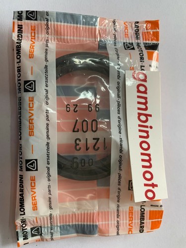 PARAOLIO LATO VOLANO MOTORE LOMBARDINI LDA450-LDA510 SINISTR TIPO BCS 55X72X10 - 第 1/1 張圖片