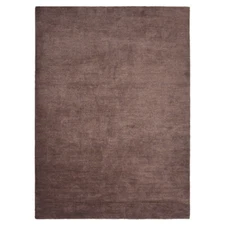 Eco-Friendly Hand Knotted Loom Silk Mix Area Rug Solid Light Brown BBLSM111
