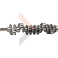 Granit Kurbelwelle | 38017298 | Passend FüR Fiat, Ford, Laverda, New Holland