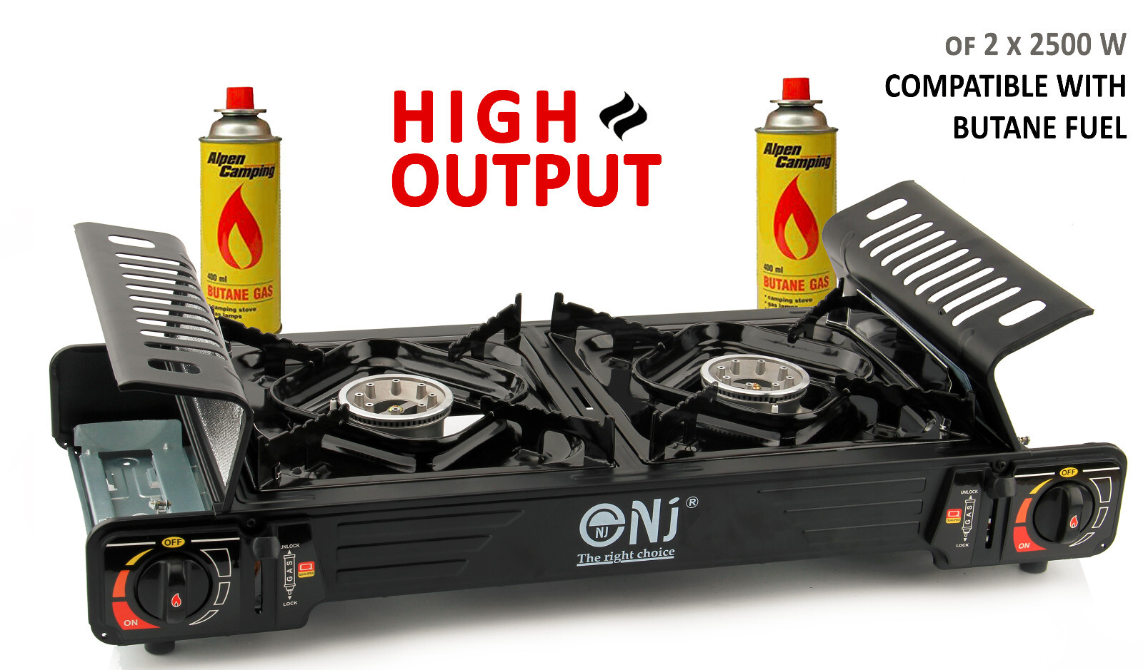 Portable Double Burner Gas Stove Camping Butane Cooker Barbecue Carry