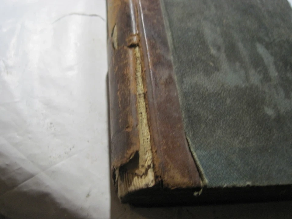 A Latin Grammar for Schools and Colleges, by Albert Harkness, Rev. Ed, 1892 - Image 3 of 4