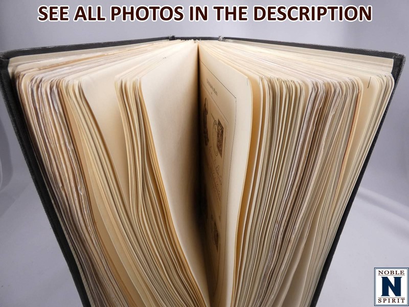 NobleSpirit (GS) Valuable Early Europe Kabe Stamp Album
