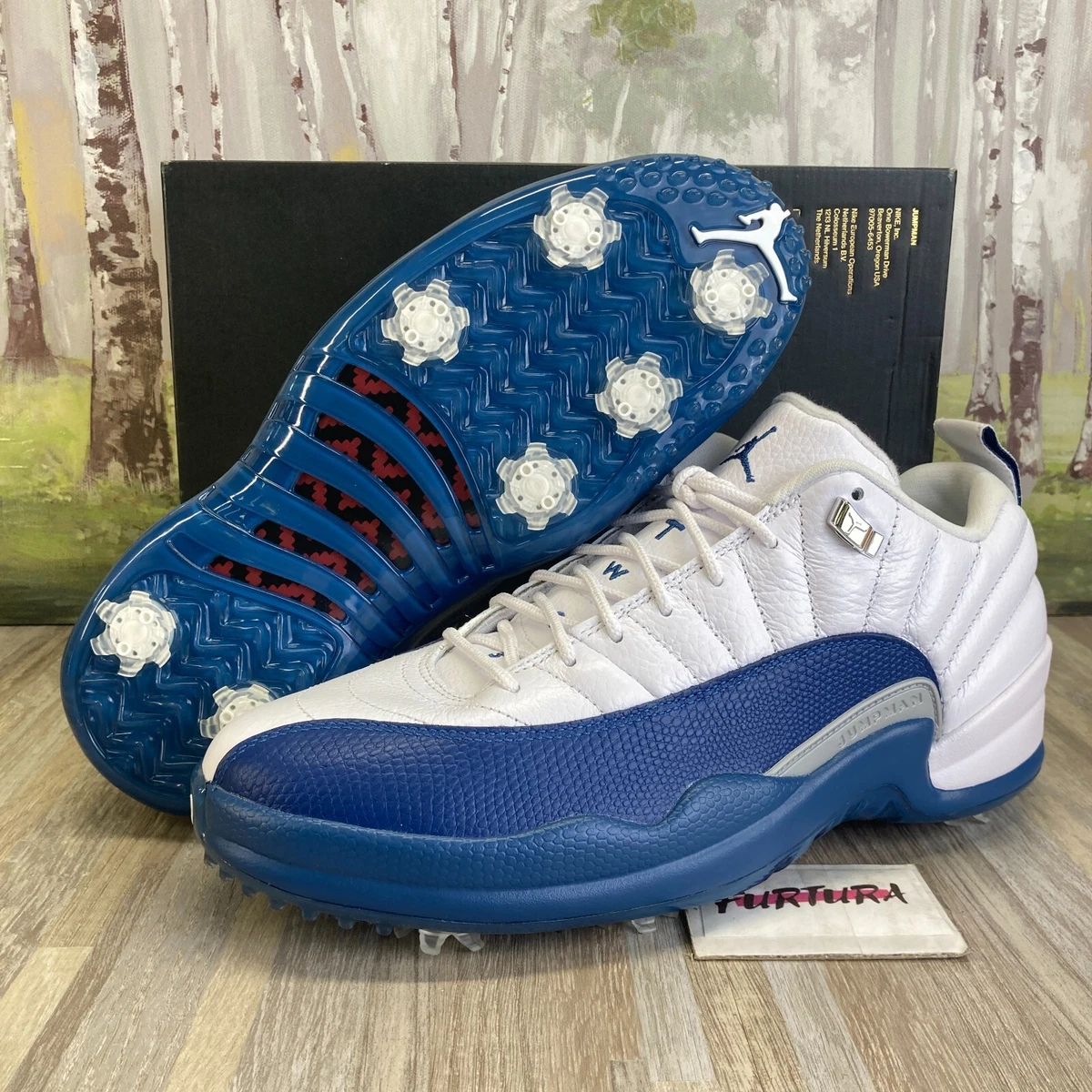 jordan 12 low blue