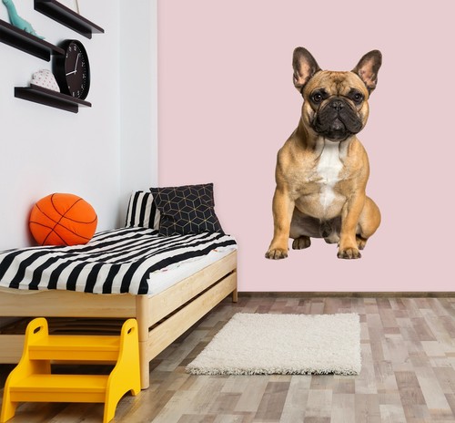 3D ORANGUTAN SITTING A807 Animal Wallpaper Mural Poster Wall Stickers 3D ORANGUTAN SITTING A807 Animal Wallpaper Mural Poster Wall Stickers
