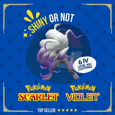 Zoroark Hisui Shiny or Non 6 IV Competitive Customizable Pokémon Scarlet Violet