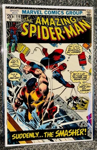 The Amazing Spider-Man #116 (1973) Marvel Bronze Age Solid FN/VF