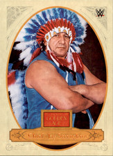 CHIEF JAY STRONGBOW 2023 Panini Chronicles WWE Bronze Base #178 Wrestling Card