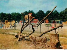 Carte Postale - Parc d'Attractions - Zoo Le Pal - Plaine de jeux pour enfants -