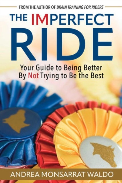 The Imperfect Ride by Andrea Monsarrat Waldo (Paperback Book)