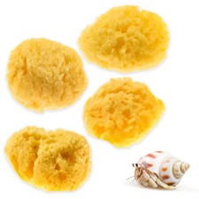 Evergreen Pet Supplies Hermit Crab Sponge for Drinking  Water Dish Stability...