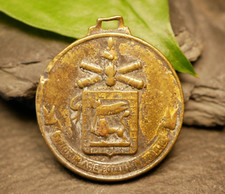 Medal Velox 8° Regg. Artiglieria PE. Cam 8. Artillery Regiment Italy