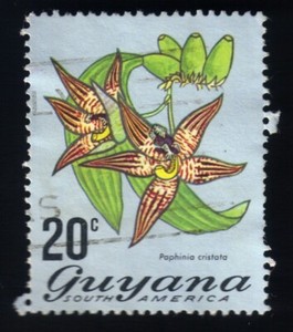 1972 Guyana Stamp, Used, Hinged, Single, Flower