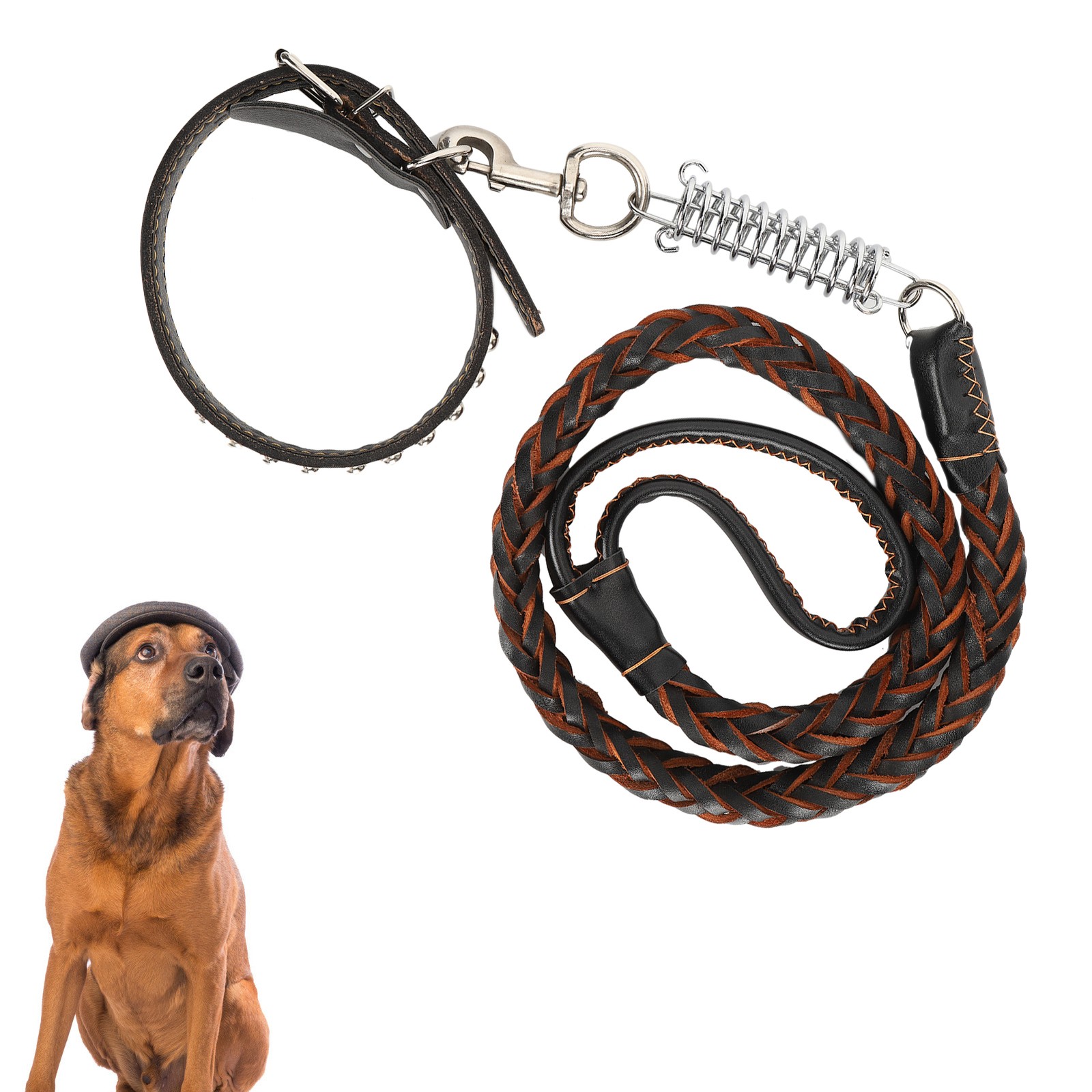 Dog Walking Leash With Collar Pet AntiLost Leash Collar Set For Large Medium Dog