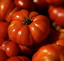 Costoluto Genovese Tomato Seeds, 30 Seeds, BUY 2 GET 1 FREE, NON-GMO, FREE SHIP