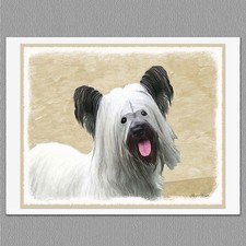 6 Skye Terrier Dog Blank Art Note Greeting Cards