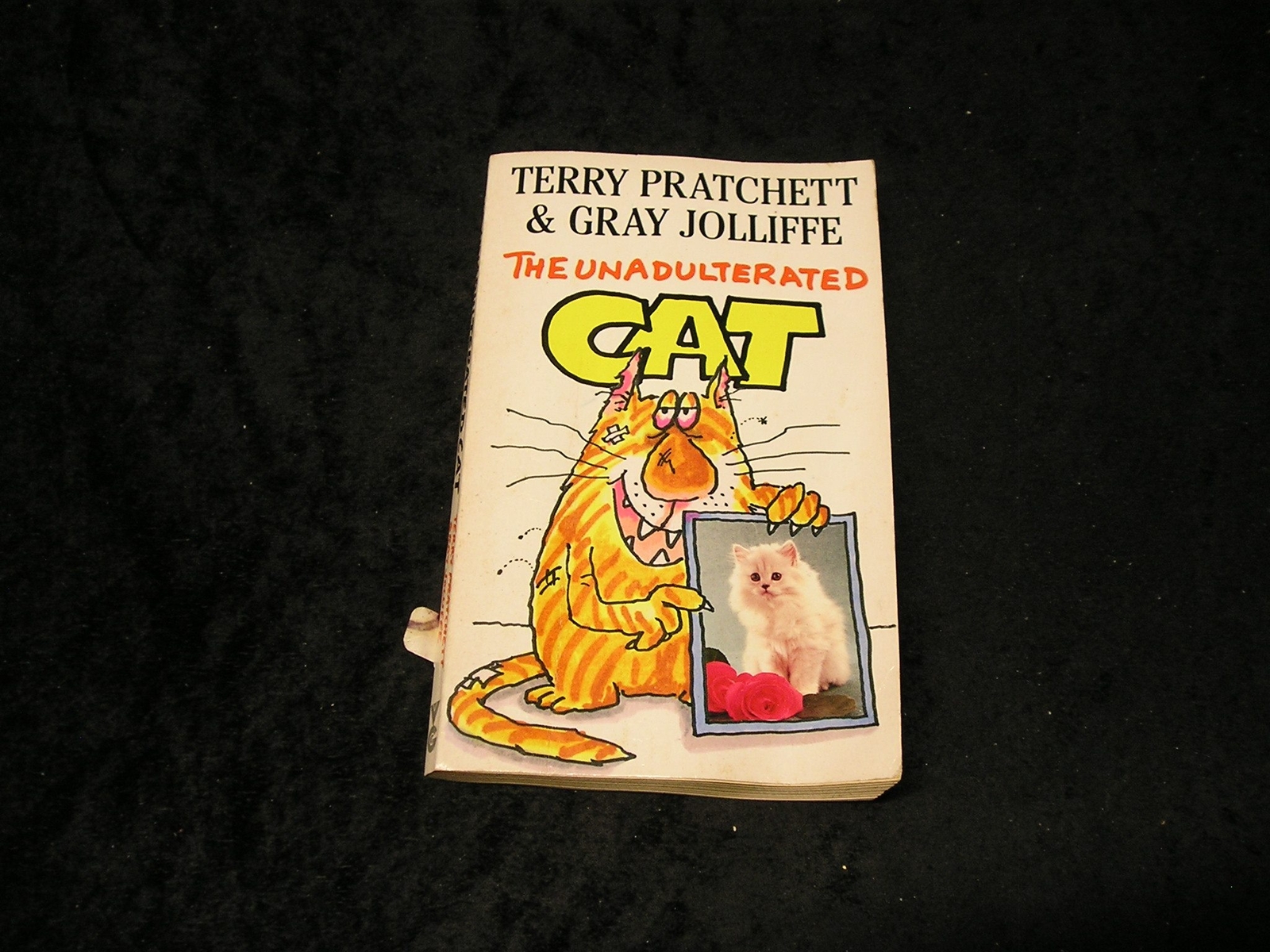 The Unadulterated Cat by Terry Pratchett & Gray Jolliffe