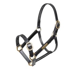 Image of Shires Velociti GARA Fully Adjustable Leather Headcollar - Black