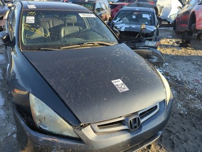 2003-2007 Honda Accord Hood Oem ZWL0O