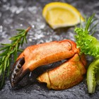Florida Stone Crabs Claws Medium 5 8 Claws Per Lb Fresh Never Frozen wild