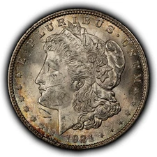 1921 $1 Morgan Dollar Rainbow Toning - VAM-1BJ Periphery Die Breaks R-6 - D6516