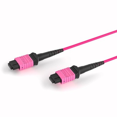 MPO Cable Female To Female 12 Fibers MultimodeOM4 Magenta MTP Type B 5m/16ft