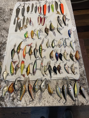 Crankbait And Shiner Lot Over 70+ Pieces Everything You See