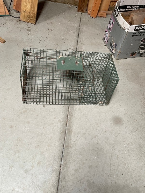 Medium 1-Door Professional Humane  Live Animal Cage Trap  raccoonf